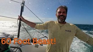 Episode 13: Cleared into Australia and then Full Sending it on a 60ft Performance Cat in 35 knots!