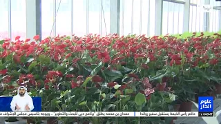  بستانك     أكبر المجمعات الزراعية الرأسية الذكية في العالم دندنها