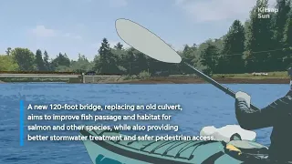 Kitsap County sets 2026 launch for Harper Estuary restoration