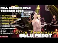 Download Lagu GULU PEDOT - SILVY KUMALASARI FULL ALBUM TERBARU DANGDUT KOPLO TERBARU 2025