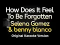 Download Lagu How Does It Feel To Be Forgotten - Selena Gomez, benny blanco (Karaoke Songs With Lyrics)