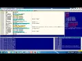 How to Reverse Engineer a software using Ollydbg