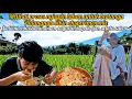 Download Lagu HIDUP DI DESA || seperti inilah kegiatan masyarakat di pedesaan, pulangnya lanjut makan mie 