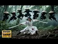 Download Lagu 【MULTI SUB】數十高手刺殺小夥，哪料對方竟是絕世高手，一劍將他們全部秒殺！！| HD1080 |#電影#功夫#kungfu