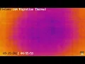 Fall Migration 2022 Thermal Camera - 2022 4 45 AM