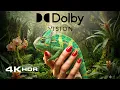 Lagu Dolby Vision Color HDR Multiverse | OLED • MiniLED • QLED Test 4K