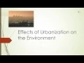 Effects of Urbanization on the Environment