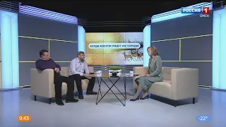 «Актуальное интервью», косули покидают город