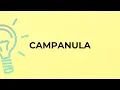 What is the meaning of the word CAMPANULA