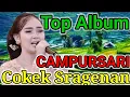 Download Lagu paling mantep mantul lur campursari cokek sragenan Monggo di OGLEK LUR