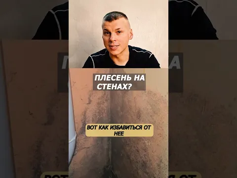 Плесень исчезает на глазах! Проверенный способ очистки стен #какудалитьплесень #lovisovet #плесень