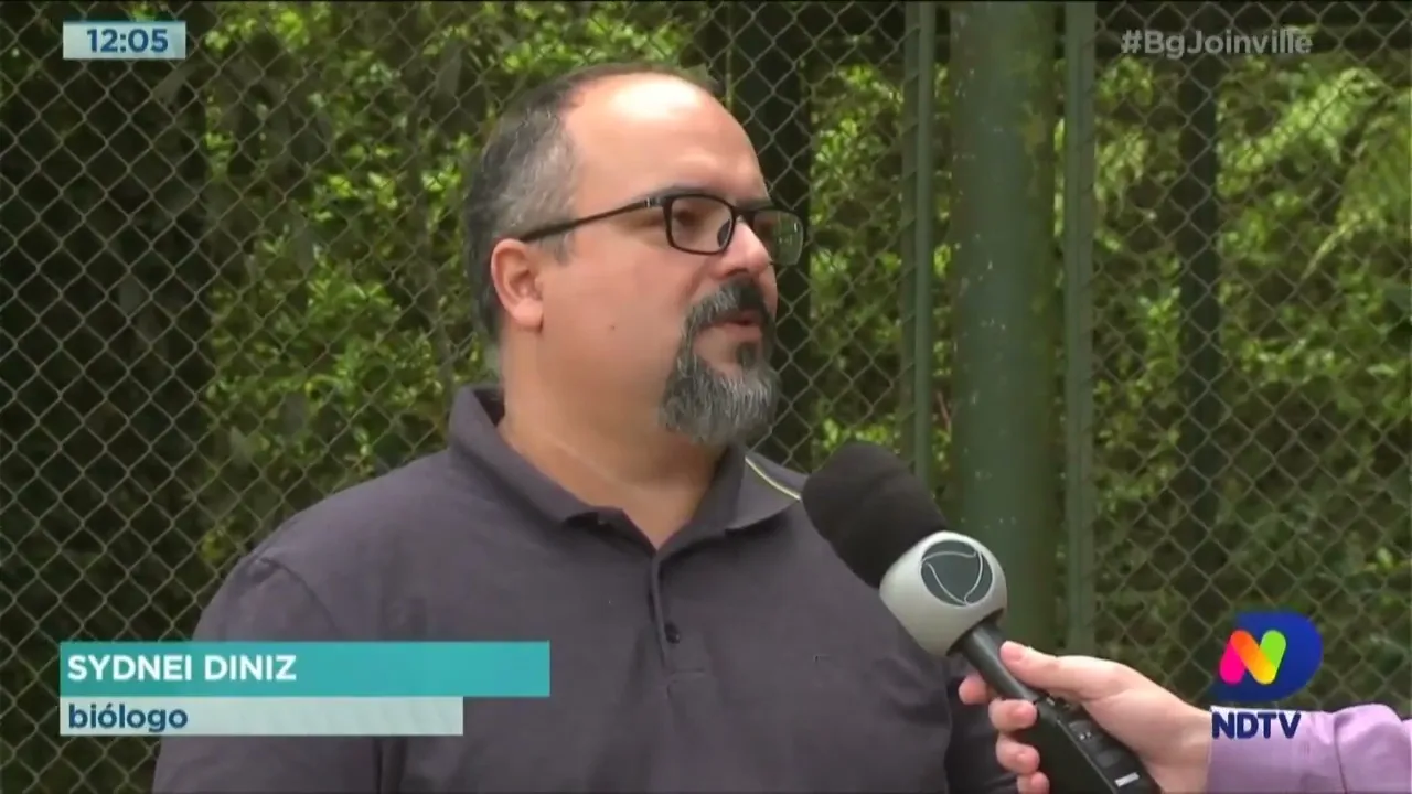 Bento, Otto ou Tadeu? Ajude a definir o nome do novo morador do zoobotânico de Joinville