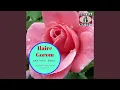Download Lagu Hai Pata