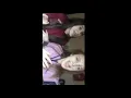 Download Lagu Jaynie jade awcock on tiktok