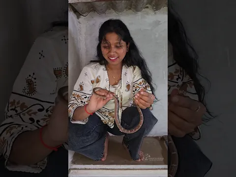 रागीट सापाचा थरारक रेस्क्यू 😱🐍 चक्क लॉफ्टवर चढून 🙆🏻‍♀️