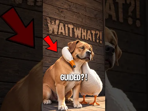 The Blind Dog Who Found an Unlikely Guide 🐶🪿