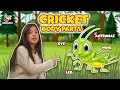 Body Parts of the Cricket Insects for Kids Nursery Rhymes Preschool Learning Learning Box