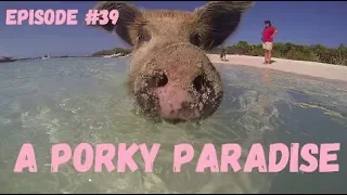A Porky Paradise, Wind over Water, Episode #39