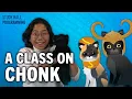 Herding Cats with Java Encapsulation Code and Programming for Beginners 24 of 28 Study Hall