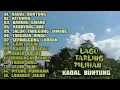 Lagu LAGU TARLING PILIHAN || KADAL BUNTUNG ||