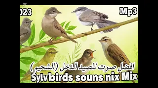 افضل صوت لصيد الشحيم  الدخل                                           فيها جميع أصوات الشحيم   دندنها