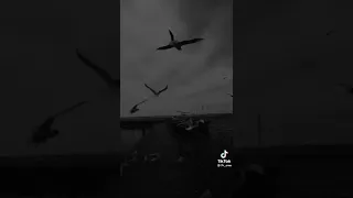 مايخصنا والو غير راحة 