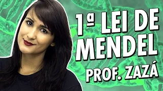 Genética para o Enem (conceitos básicos e 1ª Lei de Mendel) - Biologia - Prof. Zazá