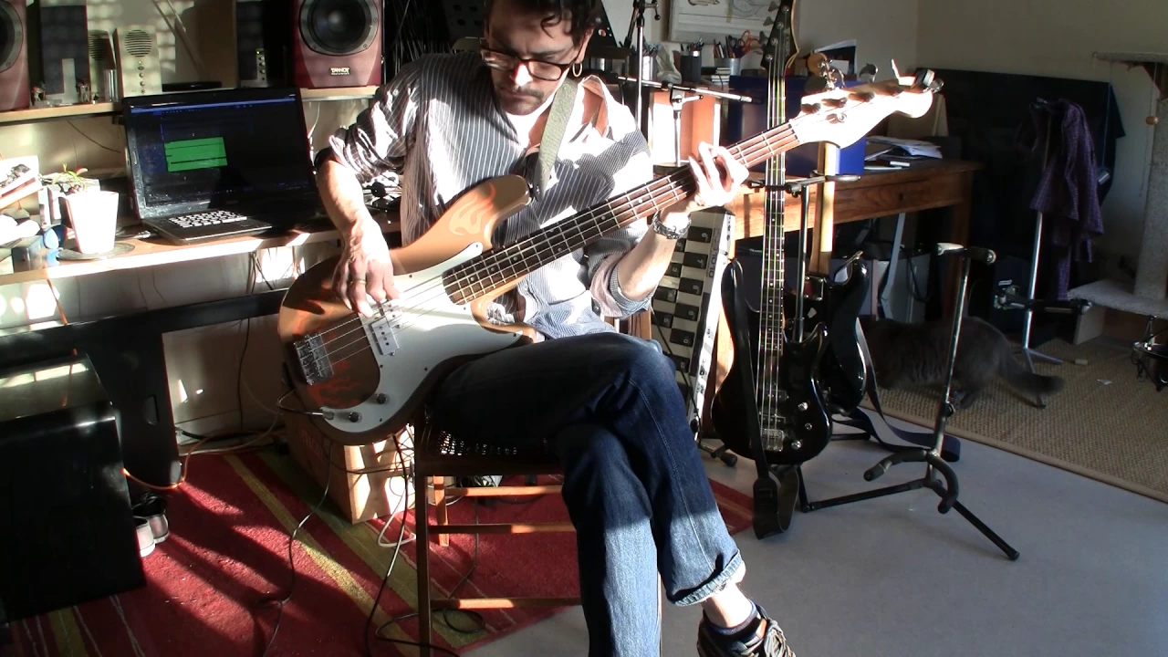 Gimme Danger - Iggy & The Stooges [ Bass Cover ]