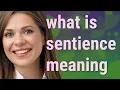 Sentience meaning of Sentience
