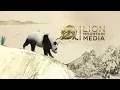 Cute Panda Day Short Why Giant Panda Conservation is Crucial