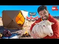 تحدي النص مليون من الشرق للغرب بالكرفان 🔥! #12