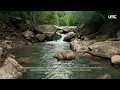 FAKHRUL UNIC - SURAH AL-WAQIAH
