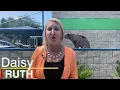 Hillsborough Pet Resource Center dealt with overcrowding well before 300 plus dogs seized