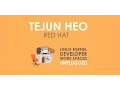 Linux Kernel Developer Work Spaces Tejun Heo Red Hat