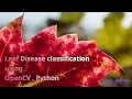 Leaf Disease Classification using OpenCV-Python