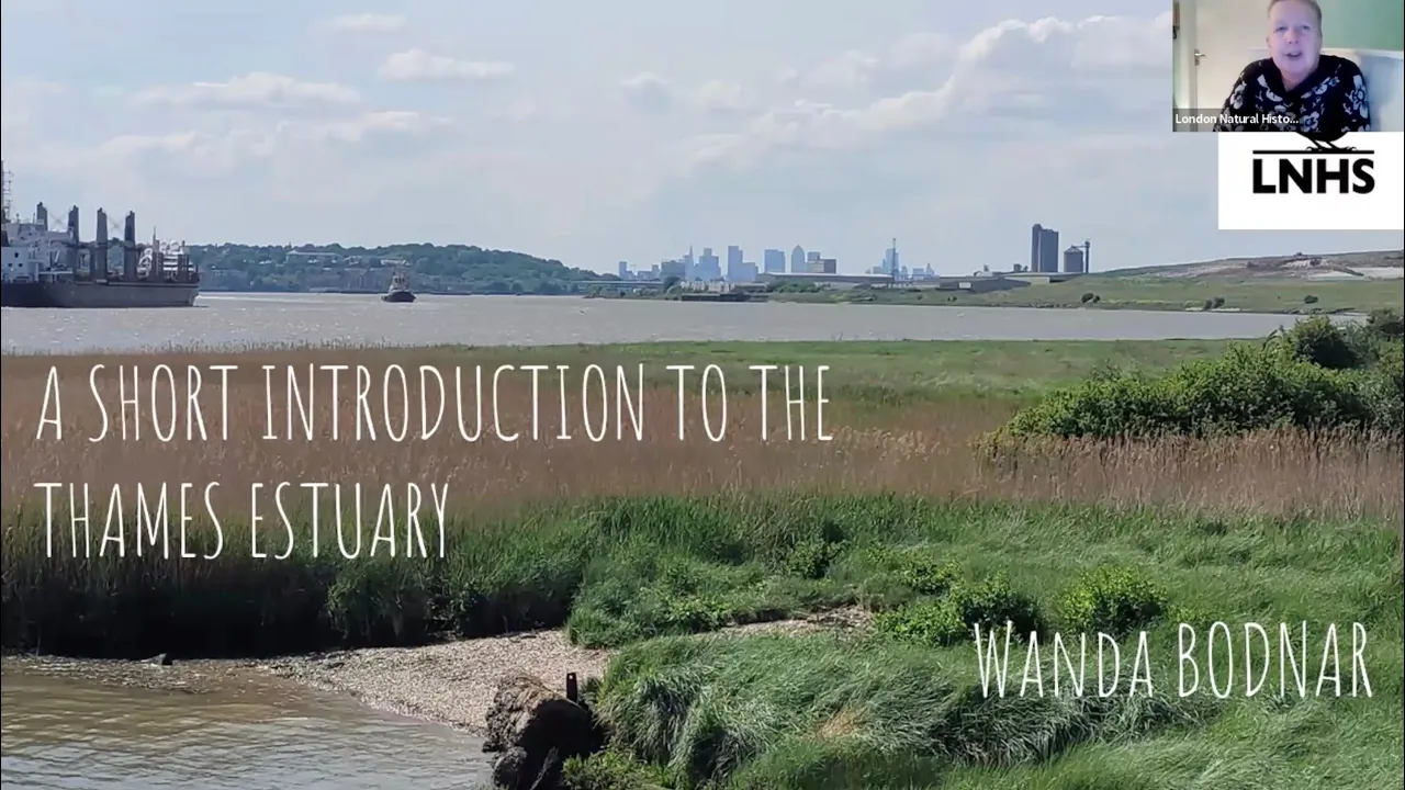 A Short Introduction to the Thames Estuary