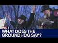 Groundhog Day 2024 The prognosticators have spoken FOX 5 News