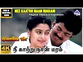 Download Lagu Nee Kaatru Naan Maram 4K HD Video Song  | Nilaave Vaa Movie Songs | Thalapathy Vijay | Vidyasagar
