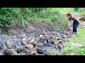 Download Lagu Harvest a Huge School of Giant Catfish by Hand and Bring them to the Market to Sell with my Family