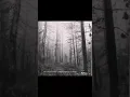 A Forest - The Cure INSTRUMENTAL
