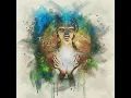 Fly Home (Steffen Kirchhoff)