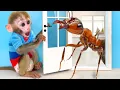 Download Lagu Monkey Baby Bon Bon meets The Ants Go Marching and Eats so yummy Ice Cream with Puppy