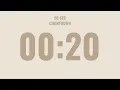 20 Second Countdown Timer No Music Calm Alarm at the End Aesthetic Design Neutral Colors
