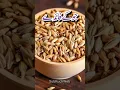 Download Lagu Jau Ke Fayde, Health Benefits of Barley in Urdu #jau #barley #healthbenefits #youtubeshorts