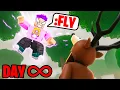 Lagu We Used ADMIN for INFINITE NIGHTS In 99 Nights in the Forest Roblox...!?