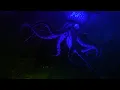 Finding Dory - GIANT SQUID ATTACK Sparta pitch sponsored by Gamavision Csupo Effects