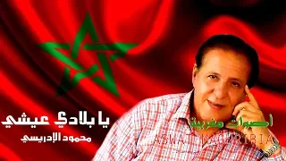 يا بلادي عيشي محمود الإدريسي 