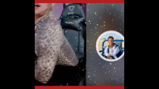 خارجيات ادروبي وقع في حب ود الوطن غزل شديد في الجضوم 