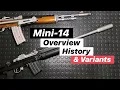 Ruger Mini-14 Overview History Variants