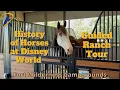 Guided Tour of Disney s Tri Circle D Ranch